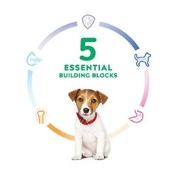 Hill's Science Diet Puppy Small Bites Chicken Meal & Brown Rice Recipe Dry Dog Food, 12.5 Lb. Bag -Dog Supplies Store 315ZxcvWCYL