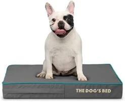 Replacement Outer Cover ONLY (NO Bed, NO Waterproof Inner) For The Dog's Bed Orthopedic Washable Oxford Fabric, XXXL 64” X 44” X 6” (Grey With Dark Blue Piping) -Dog Supplies Store 319L6ZnyQbL. AC