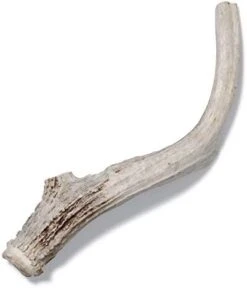 Antler Dog Chew From Pet Expertise, Gigantic 12-14" Long, 1 Piece -Dog Supplies Store 31KXBlIzYmL. AC