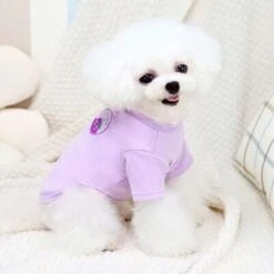 Fleece Warm Dog Hoodies Sweatshirt Winter Soft Cat Clothing Pullover Hoody Coat For Small Dogs Pet Costume Shirt A3 L -Dog Supplies Store 31O9C0JTN L. AC