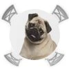 Savannan Round Tablecloth,Pug Puppy Cute Dog Pet Animal Elastic Edge Round Waterproof Fitted Table Cloth For Indoor Outdoor Dinning Fit Round Table Up To 55" - 60"