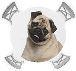 Savannan Round Tablecloth,Pug Puppy Cute Dog Pet Animal Elastic Edge Round Waterproof Fitted Table Cloth For Indoor Outdoor Dinning Fit Round Table Up To 55" - 60" -Dog Supplies Store 31ZFxxSRaWL. AC 1