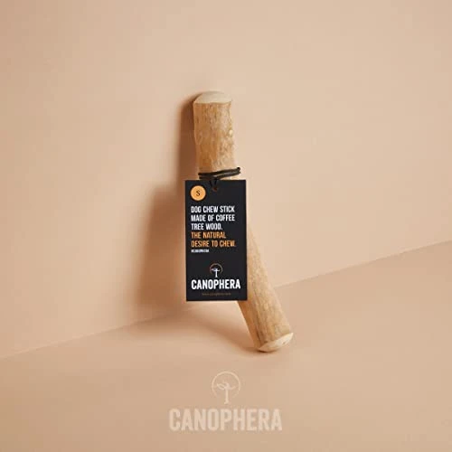 Canophera Coffee Wood Dog Chew Sticks For Regular Chewers - Size Small 3 Canophera Coffee Wood Dog Chew Sticks For Regular Chewers - Size Small - Image 3