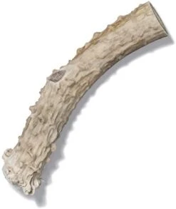Antler Dog Chew From Pet Expertise, Gigantic 12-14" Long, 1 Piece -Dog Supplies Store 31qUvL0stXL. AC