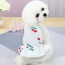 Sexy Soft Pet Clothing Dog Dresses Summer Cherry Pattern Pink White Yellow Cool Shirt Skirt Puppy Cat Dress Costume A2 L -Dog Supplies Store 31yk7989QaL. AC