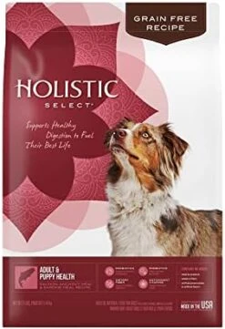 Holistic Select Natural Grain Free Dry Dog Food, Adult & Puppy Salmon, Anchovy & Sardine Recipe, 24-Pound Bag -Dog Supplies Store 410M7SzvxL. AC
