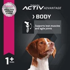 Eukanuba Adult Lamb 1st Ingredient Dry Dog Food, 15 Lb -Dog Supplies Store 412H47BHTHL