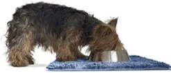 Furhaven 60" X 48" Highly Absorbent Dog Door Mat For Muddy Paws, 100% Washable, Perfect For Entryway, Kitchen, & Bathroom Use - Chenille Shammy Rug - Charcoal (Gray), Jumbo Plus/XXXL -Dog Supplies Store 412WuH17pUL. AC