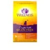 Wellness Complete Health Natural Grain Free Dry Puppy Food, Chicken & Salmon, 24-Pound Bag