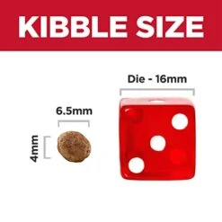 Hill's Science Diet Puppy Small Bites Chicken Meal & Brown Rice Recipe Dry Dog Food, 12.5 Lb. Bag -Dog Supplies Store 415JzFRHHNL