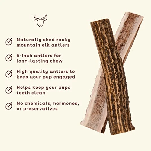 Pupford Split Elk Antlers | Durable & Tough Chew Toy & Treat For Aggressive Chewers - Long Lasting, All Natural, Cleans Teeth & Engages Your Pup | 5-8” Long (1 Count) 2 Pupford Split Elk Antlers | Durable & Tough Chew Toy & Treat For Aggressive Chewers - Long Lasting, All Natural, Cleans Teeth & Engages Your Pup | 5-8” Long (1 Count) - Image 2