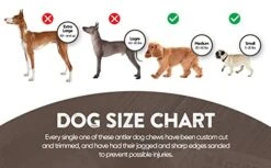 WhiteTail Naturals - Water Buffalo Horns For Dogs (3 Pack Medium) All-Natural Buffalo Horn Dog Chew - Long Lasting Chew Toy For Aggressive Chewers And Teething Puppies 7 WhiteTail Naturals - Water Buffalo Horns For Dogs (3 Pack Medium) All-Natural Buffalo Horn Dog Chew - Long Lasting Chew Toy For Aggressive Chewers And Teething Puppies -Dog Supplies Store 417VjbahpxL 1