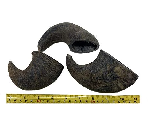 WhiteTail Naturals - Water Buffalo Horns For Dogs (3 Pack Medium) All-Natural Buffalo Horn Dog Chew - Long Lasting Chew Toy For Aggressive Chewers And Teething Puppies 2 WhiteTail Naturals - Water Buffalo Horns For Dogs (3 Pack Medium) All-Natural Buffalo Horn Dog Chew - Long Lasting Chew Toy For Aggressive Chewers And Teething Puppies - Image 2