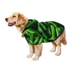 Cucumber Vegetables Green Food Pet Dog Hoodie Costume Pets Wear Hoodies Winter Coat Cloth Sweaters Sweatshirts Jacket Pullover 14 Cucumber Vegetables Green Food Pet Dog Hoodie Costume Pets Wear Hoodies Winter Coat Cloth Sweaters Sweatshirts Jacket Pullover -Dog Supplies Store 41AjKTbT9gL