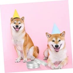 10pcs Tools Vessel Tools Threading Tool Dog Scent Training Kit Dog Scent Work Container Nose Work Dog Training Kit Dogs Scent Training Tool Dog Training Aroma Case Suite -Dog Supplies Store 41CBVAmhCxL