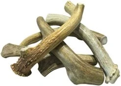 WhiteTail Naturals | 3 Pack Medium | Deer Antler Dog Chews | All Natural Organic Antlers For Dogs | Long Lasting Antler Bones For Dogs | Durable Antler Dog Toy -Dog Supplies Store 41Ca7LpJHhL. AC