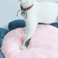 SONGBIRDTH Puppy Cat Round Flower Shape Cushion Plush Floor Mat Dog Carpet Pad Pet Supplies,Breathable Cotton Blend,Removable Easy To Clean Pink M 13 SONGBIRDTH Puppy Cat Round Flower Shape Cushion Plush Floor Mat Dog Carpet Pad Pet Supplies,Breathable Cotton Blend,Removable Easy To Clean Pink M -Dog Supplies Store 41CrUwoxBVL