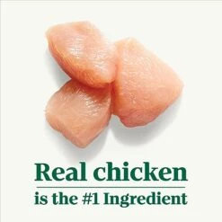 NUTRO PREMIUM LOAF Adult Natural Grain Free Wet Dog Food Slow Cooked Chicken, Potato, Carrot & Pea Recipe, 12.5 Oz. Cans (Pack Of 12) -Dog Supplies Store 41EP3YJgiGL