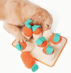 FOSSA Dog Snuffle Mat, Puppy Toys Feeding Mat With 8 Carrots Plush Dog Treat Puzzle Toys (Small) -Dog Supplies Store 41EPLwbnqAL. AC