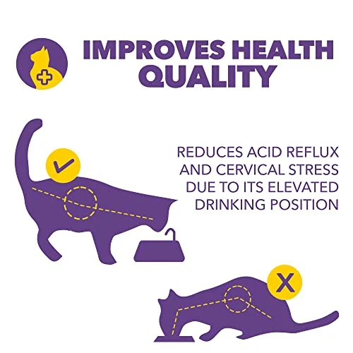 AMICUS - Aqua First USB Water Fountain For Pets - Cats And Dogs Fountains, Automatic Pet Drinking Fountain, Water Dispenser For Dogs And Cats - Ergonomic Design, Portable, Bivolt - White 2 AMICUS - Aqua First USB Water Fountain For Pets - Cats And Dogs Fountains, Automatic Pet Drinking Fountain, Water Dispenser For Dogs And Cats - Ergonomic Design, Portable, Bivolt - White - Image 2