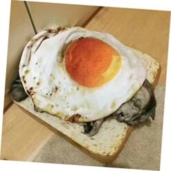 Mipcase 3pcs Sleep Cover Funny Cushion Throw Puppy Large Quilt Made Animals For Bed Breakfast Egg Shaped Sleeping Blanket& Other Premium Dogs Food Dog Resistant Animal Fuzz Pet Blankets D -Dog Supplies Store 41Gx2WUiDlL