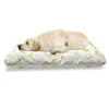 Ambesonne Banana Pet Bed, Graphic Illustration Of Tropical Fruit Ripe And Healthy Exotic Food, Chew Resistant Pad For Dogs And Cats Cushion With Removable Cover, 24" X 39", Pale Green Yellow