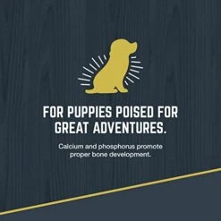 Black Gold Explorer Puppy Recipe Dry Dog Food, Chicken, 40 Pounds 15 Black Gold Explorer Puppy Recipe Dry Dog Food, Chicken, 40 Pounds -Dog Supplies Store 41HI5bgMBsL