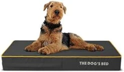 Replacement Outer Cover ONLY (NO Bed, NO Waterproof Inner) For The Dog's Bed Orthopedic Washable Oxford Fabric, XXXL 64” X 44” X 6” (Grey With Dark Blue Piping) -Dog Supplies Store 41ITsUdT0gL. AC