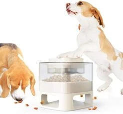Monotre Dog Puzzle Feeder Toy With Button Interactive Mental Stimulation Food Dispenser, Improve Dog IQ Slow Feeding To Protect The Intestines, Suitable For Large, Medium And Small Dogs 11 Monotre Dog Puzzle Feeder Toy With Button Interactive Mental Stimulation Food Dispenser, Improve Dog IQ Slow Feeding To Protect The Intestines, Suitable For Large, Medium And Small Dogs -Dog Supplies Store 41IYrr9b96L. AC