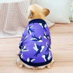 Soft Dog Clothes Dog Hoodies Coat Leopard Fleece Dog Sweatshirt For Medium Dogs Bulldog Pug Pet Shirt Clothing A5 XXL -Dog Supplies Store 41JKr85EesL. AC