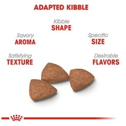 Royal Canin Small Indoor Adult Dry Dog Food, 2.5 Lb Bag 8 Royal Canin Small Indoor Adult Dry Dog Food, 2.5 Lb Bag -Dog Supplies Store 41JWElFkdPL