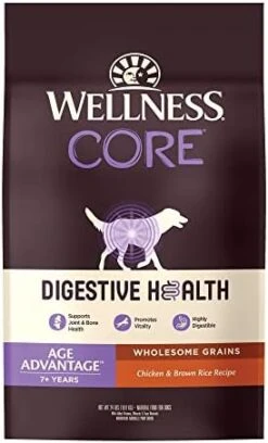 Wellness CORE Digestive Health Dry Dog Food With Wholesome Grains, Highly Digestible, For Dogs With Sensitive Stomachs, Made In USA With Real Chicken (Adult, 4-Pound Bag) -Dog Supplies Store 41JXCN2h3RL. AC