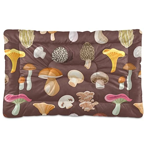 Poeticcity Mushrooms Natural Fungus Mushrooming Organic Food On Brown Dog Cat Bed Mat, Soft Crate Pad Mattress Cushion For Small Medium Pets, Anti Slip Sleeping Kennel Mat Washable & Dry 24x18 Inch 1 Poeticcity Mushrooms Natural Fungus Mushrooming Organic Food On Brown Dog Cat Bed Mat, Soft Crate Pad Mattress Cushion For Small Medium Pets, Anti Slip Sleeping Kennel Mat Washable & Dry 24x18 Inch