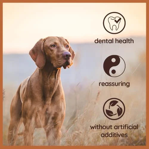 Wildfang® | Chewing Root Made From Tree Heather For Dogs, Dental Care & Masticatory Muscle Training, Natural Chew Toy…… 5 Wildfang® | Chewing Root Made From Tree Heather For Dogs, Dental Care & Masticatory Muscle Training, Natural Chew Toy…… - Image 5