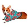 Shrimp Pattern Sea Food Pet Dog Costume Pets Wear Hoodies Winter Large Cats Cloth Sweatshirts Jacket Pullover