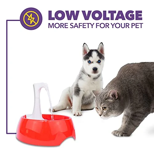 AMICUS - Aqua First USB Water Fountain For Pets - Cats And Dogs Fountains, Automatic Pet Drinking Fountain, Water Dispenser For Dogs And Cats - Ergonomic Design, Portable, Bivolt - White 4 AMICUS - Aqua First USB Water Fountain For Pets - Cats And Dogs Fountains, Automatic Pet Drinking Fountain, Water Dispenser For Dogs And Cats - Ergonomic Design, Portable, Bivolt - White - Image 4