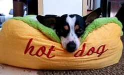 Hot Dog Design Pet Dog Bed,Soft Removable And Washable Pet Mat Dog House Dot Small Pet Animal Small Dog Bed -Dog Supplies Store 41ODWT7qhvL