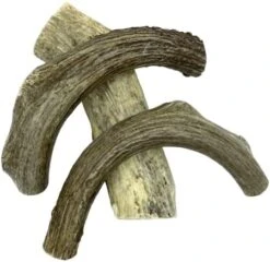 Deer Valley Dog Chews (Giant Single, 8-10 Inches) - Sustainably-Sourced Deer Antler For Extra Large Breeds - Durable And Enticing Chew Toy For Aggressive Chewers -Dog Supplies Store 41Q9Y78ygL. AC