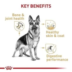 Royal Canin German Shepherd Adult Dry Dog Food, 17 Lb Bag 11 Royal Canin German Shepherd Adult Dry Dog Food, 17 Lb Bag -Dog Supplies Store 41SIxCr2NsL