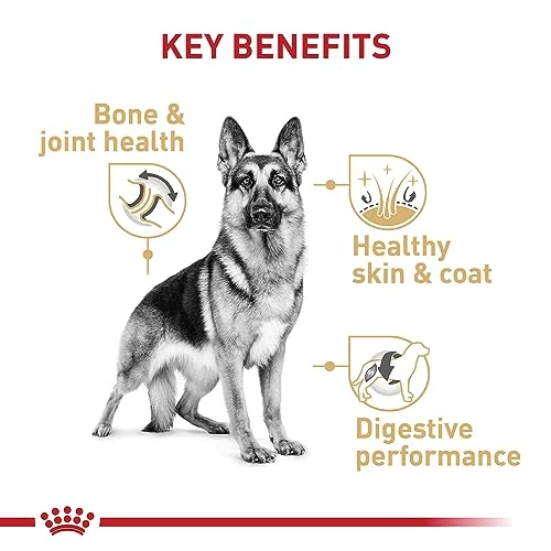 Royal Canin German Shepherd Adult Dry Dog Food, 17 Lb Bag 4 Royal Canin German Shepherd Adult Dry Dog Food, 17 Lb Bag - Image 4