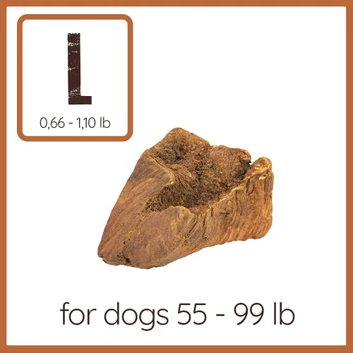 Wildfang® | Chewing Root Made From Tree Heather For Dogs, Dental Care & Masticatory Muscle Training, Natural Chew Toy…… 2 Wildfang® | Chewing Root Made From Tree Heather For Dogs, Dental Care & Masticatory Muscle Training, Natural Chew Toy…… - Image 2