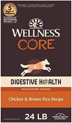 Wellness CORE Digestive Health Dry Dog Food With Wholesome Grains, Highly Digestible, For Dogs With Sensitive Stomachs, Made In USA With Real Chicken (Adult, 4-Pound Bag) -Dog Supplies Store 41WA8Hc0DwL. AC