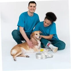 10pcs Tools Vessel Tools Threading Tool Dog Scent Training Kit Dog Scent Work Container Nose Work Dog Training Kit Dogs Scent Training Tool Dog Training Aroma Case Suite -Dog Supplies Store 41Xg9Q8XsTL