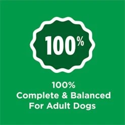 PURINA DOG CHOW 10 PURINA DOG CHOW -Dog Supplies Store 41XrWmLWFZL