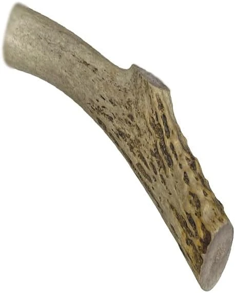 WhiteTail Naturals | Premium Deer Antlers For Dogs (Extra Large) | All Natural Antler Dog Chew | Naturally Shed, Long Lasting Chew Bone, Made In USA 9 WhiteTail Naturals | Premium Deer Antlers For Dogs (Extra Large) | All Natural Antler Dog Chew | Naturally Shed, Long Lasting Chew Bone, Made In USA - Image 9