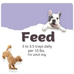 HEART TO TAIL 15 Trays Wet Dog Food 3.5 OZ Filet Mignon Flavor -Dog Supplies Store 41ZB6LOglFL