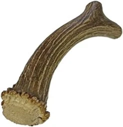 WhiteTail Naturals | Premium Deer Antlers For Dogs (Large) | All Natural Antler Dog Chew | Naturally Shed, Long Lasting Chew Bone, Made In USA (Large (Best For Dogs 40-60 Lbs)) -Dog Supplies Store 41a8YBEUgNL. AC 1