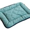 Dog Gone Smart Chenille Dog Sleeper Cushion, Green W/Blue Trim, 15"X20" X-Small
