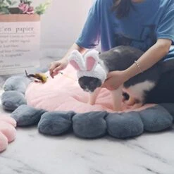 SONGBIRDTH Puppy Cat Round Flower Shape Cushion Plush Floor Mat Dog Carpet Pad Pet Supplies,Breathable Cotton Blend,Removable Easy To Clean Pink M 12 SONGBIRDTH Puppy Cat Round Flower Shape Cushion Plush Floor Mat Dog Carpet Pad Pet Supplies,Breathable Cotton Blend,Removable Easy To Clean Pink M -Dog Supplies Store 41cx2R5aOeL