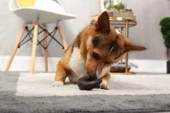 Outback Jack Water Buffalo Horn, Medium 9 Outback Jack Water Buffalo Horn, Medium -Dog Supplies Store 41dLp0HQOrL. AC